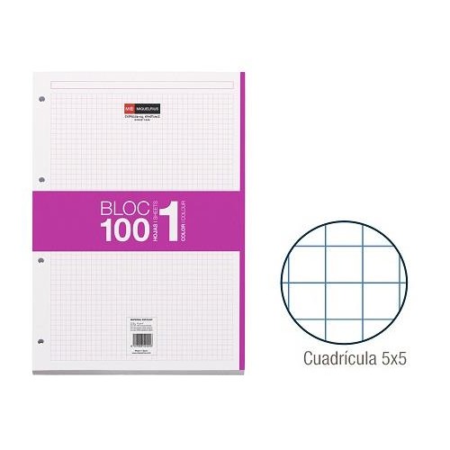 100-FULLS RECANVI A4 4T.N-BOOK CP5 FUCSIA