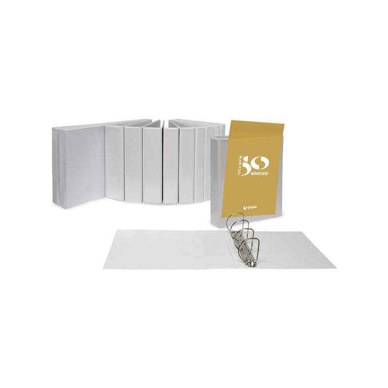 1-CARPETA A4 PERSON. 4AN 25MM STANDARD (10)