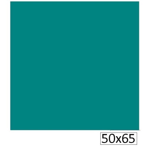 1-CARTOLINA IRIS 50X65 185GRS N