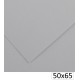 1-CARTOLINA IRIS 50X65 185GRS N